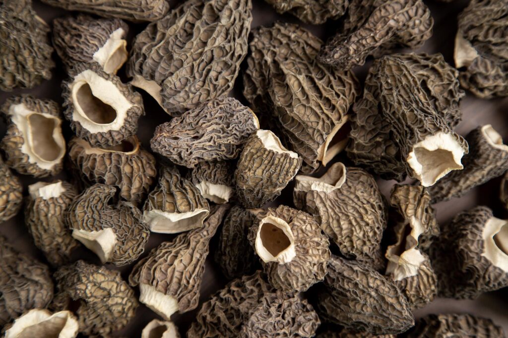 dried morel mushrooms